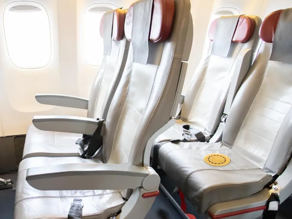 Straling in vliegtuigen