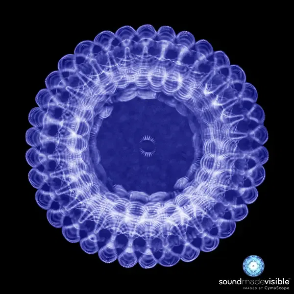Mandala Quanteninformation