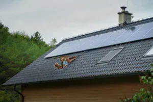 Straling afkomstig van zonnepanelen