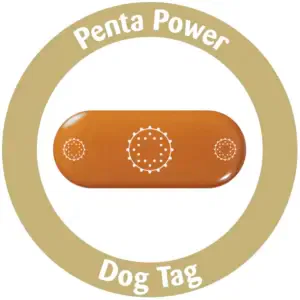 Penta Power Dog Tag
