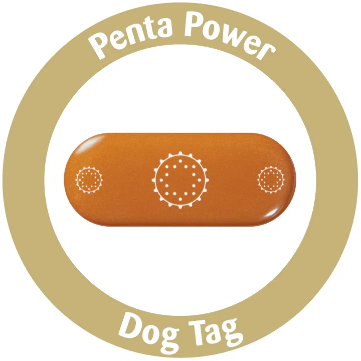 Penta Power Dog Tag