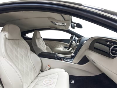 Car Vitaliser im Auto